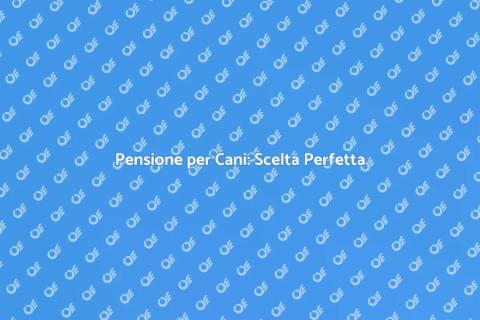 Pensione per Cani: Guida Completa