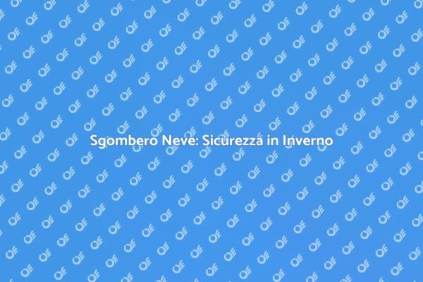 Servizio di Sgombero Neve Essenziale