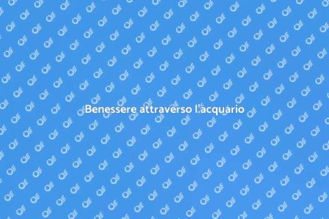 Acquario per la tranquillità interiore