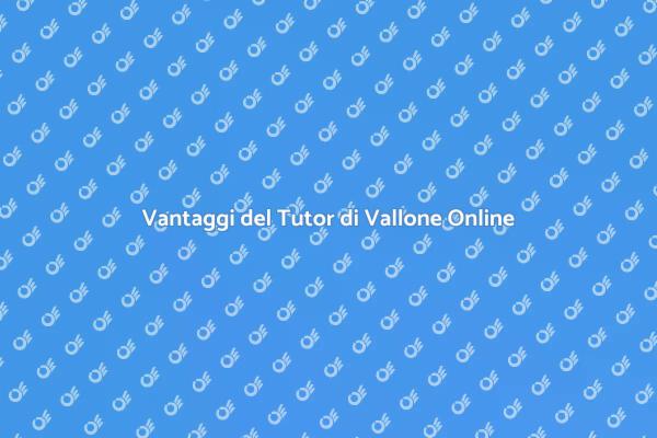 I Vantaggi di un Tutor di Vallone