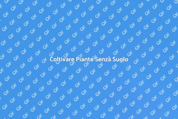 Realizza un Giardino Idroponico in Casa