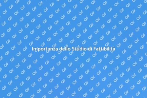 Studio di Fattibilità Elettrica