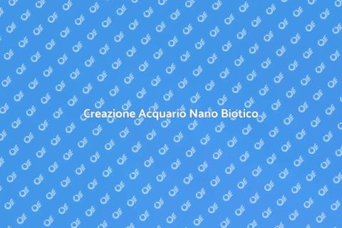 Consulenza Acquario Nano Biotico