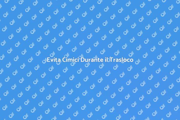 Come Prevenire Cimici da Traslochi