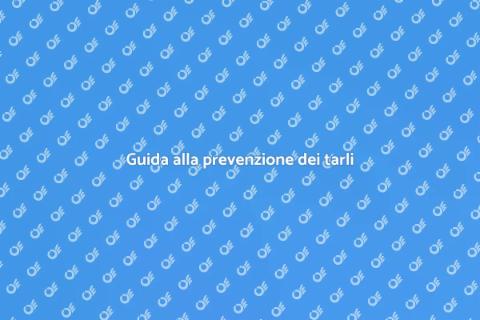 Prevenire infestazione tarli storici