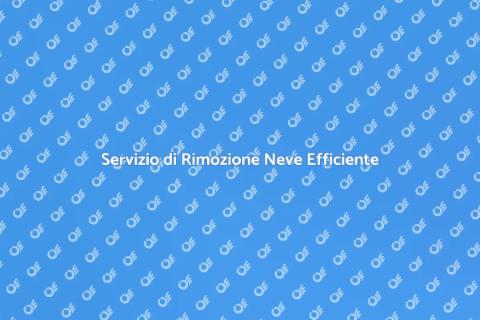 Rimozione Neve: Sicurezza Invernale