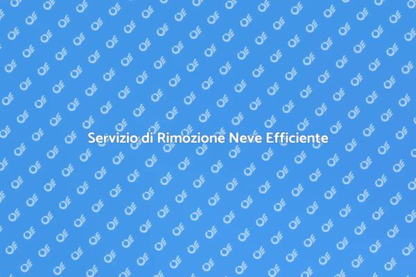 Rimozione Neve: Il Tuo Servizio Invernale