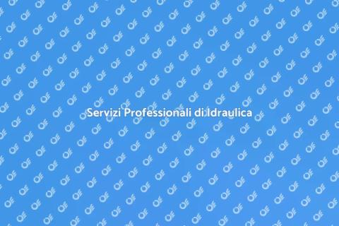 Idraulico Professionista per il Lavandino