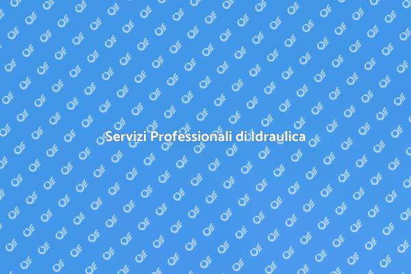 L'importanza dell'Idraulico per il Lavandino
