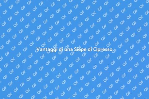 Siepe di Cipresso: Vantaggi e Bellezza