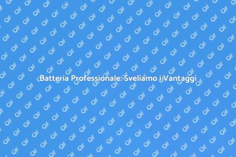 Batteria Professionale: Potenza e Affidabilità
