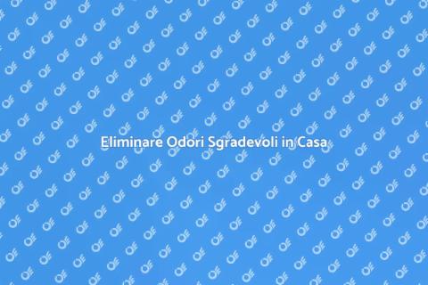 Rimozione degli Odori in Casa