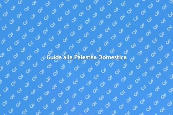 Costruisci la tua Palestea in Casa