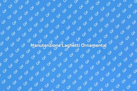 Pulizia e Manutenzione Laghetti