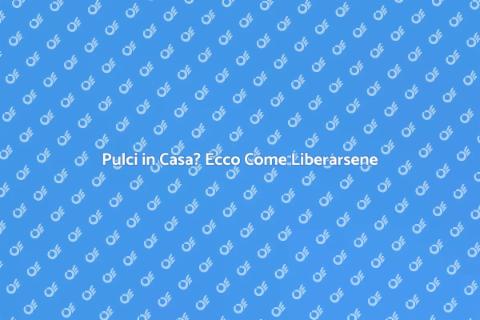 Disinfestazione Pulci: Guida Pratica