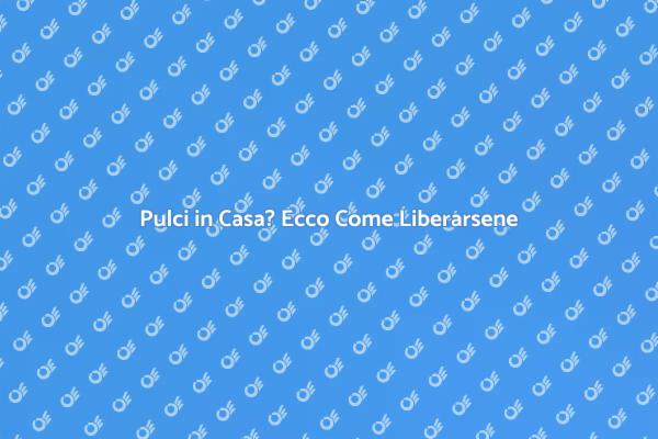 Come Eliminare le Pulci in Casa