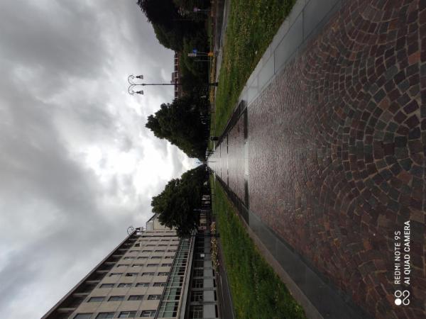 Nico - Foto 24