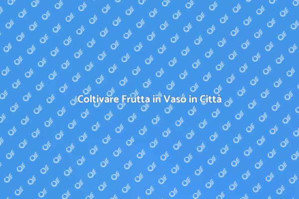 Frutta Fresca a Casa Tua con un Vaso