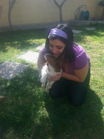 dogsitter, educatore cinofilo - Foto 4