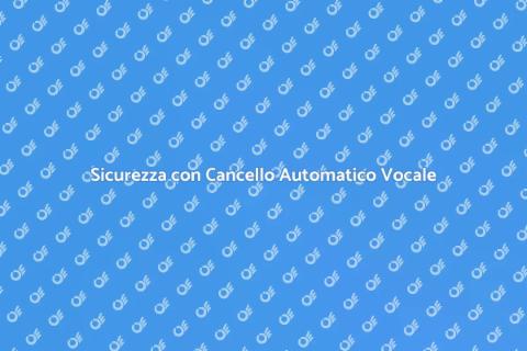 Cancello Automatico: Innovazione e Sicurezza