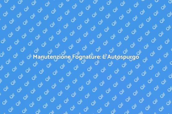 Autospurgo: Soluzione ai Tuoi Problemi
