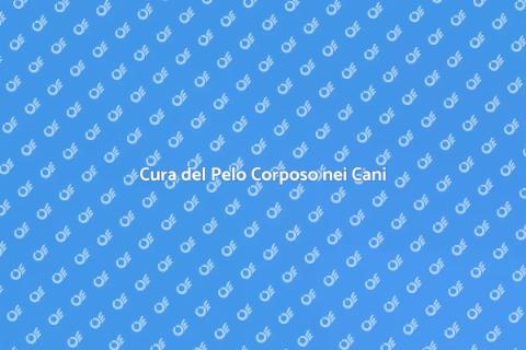 Toelettatura Cani Pelo Corposo