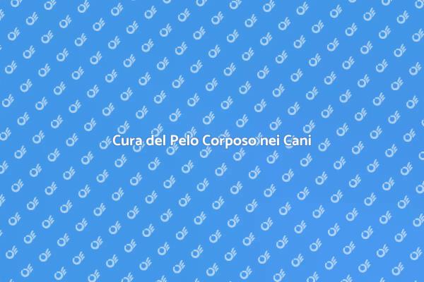 Toelettatura per Cani: Salute e Stile