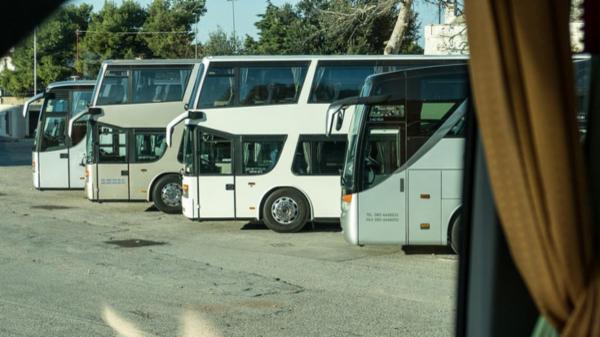 Ciccimarra Carlo e Figli Srl  - Foto 4