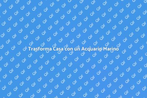 Acquario Marino: Magia in Casa