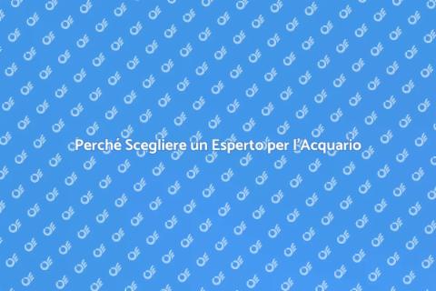 Consulente Acquario: Scopri il Mondo