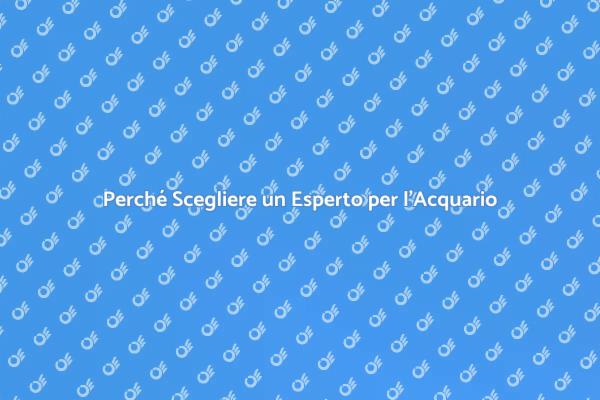 L'importanza di un Esperto per l'Acquario