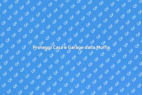 Bonifica e Protezione Antimuffa