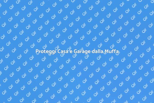 Combatti la Muffa in Casa e Garage