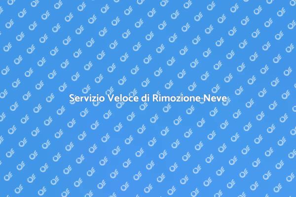 Rimozione Rapida della Neve in Inverno