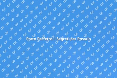 Posare il Prato: Guida Completa