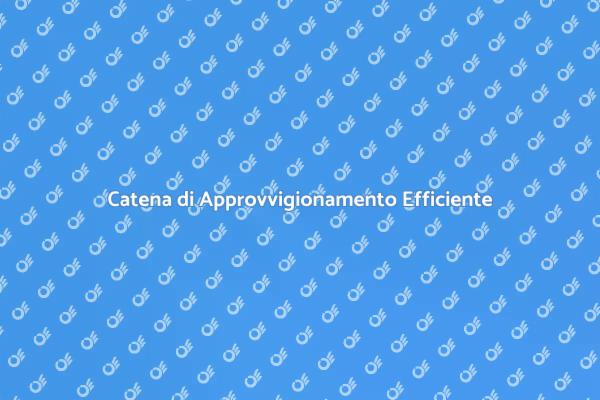 Efficienza nella Catena di Approvvigionamento