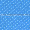Efficienza nella Catena di Approvvigionamento