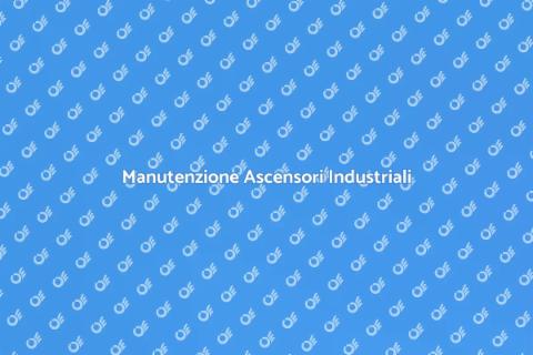 Supporto Ascensori Industriali