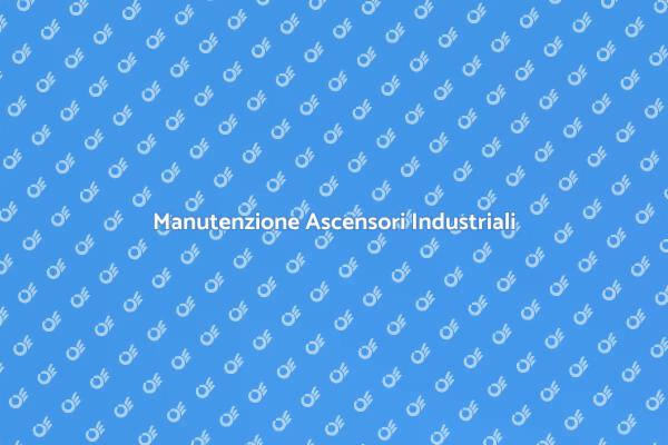 Servizio Affidabile per Ascensori