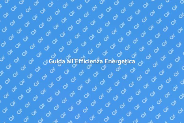 Efficienza Energetica: Testa la Tua Casa