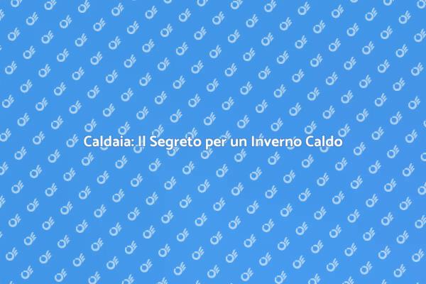 Caldaia: Comfort e Sicurezza in Casa