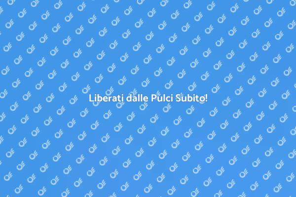 Sterminatore di Pulci: Soluzione Efficace