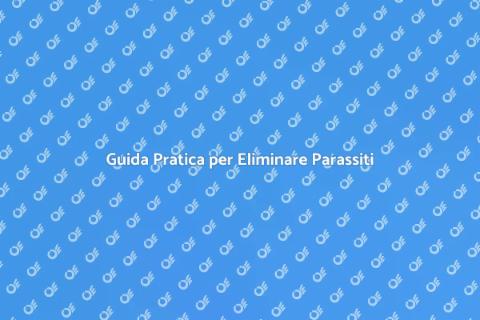 Eliminare i Parassiti in Casa