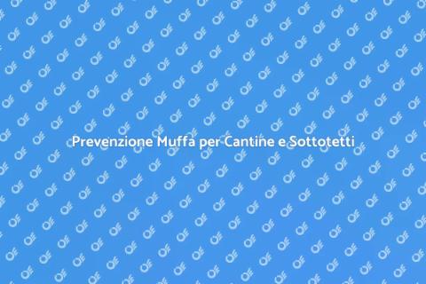 Protezione Muffa: Ristrutturazione Efficace