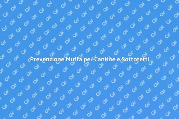 Protezione Efficace da Muffa e Umidità