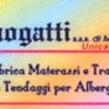 Spinogatti 