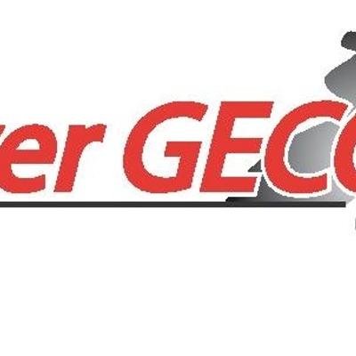 POWER GECO S.C.