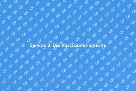 Disinfestazione Formiche: Servizio Essenziale