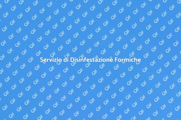 Disinfestazione Formiche nei Centri Educativi