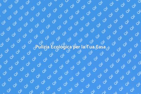 Sistema di Pulizia Ecologico Efficace